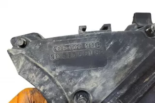 9651560180 , art13372680 Накладка декоративная Peugeot 207 Арт 13372680, вид 4