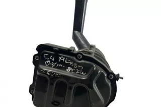 9684252580 , art13427643 Насос гидроусилителя руля Citroen C4 Picasso 2 Арт 13427643, вид 5