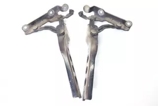 1Z0823301C, 1Z0823302C , art12224685 Петля капота Skoda Octavia A5 restailing Арт 12224685, вид 1