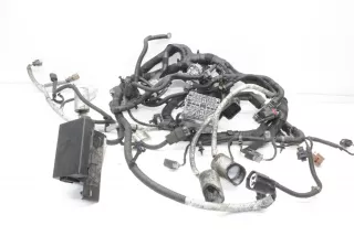 art12259348 Проводка двигателя Opel Antara 2.2л Арт 12259348, вид 1