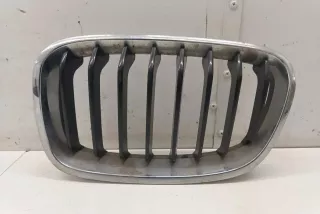 72390217262119 , art13084119 Заглушка (решетка) в бампер передний BMW 1 F20/F21 Арт 13084119, вид 1