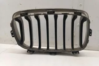 72390217262119 , art13084119 Заглушка (решетка) в бампер передний BMW 1 F20/F21 Арт 13084119, вид 2