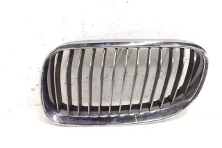 7254971 , art14022773 Заглушка (решетка) в бампер передний BMW 5 F10/F11/GT F07 Арт 14022773, вид 1