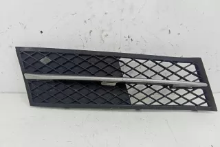 7200700 , art14008420 Заглушка (решетка) в бампер передний BMW 5 F10/F11/GT F07 Арт 14008420, вид 1