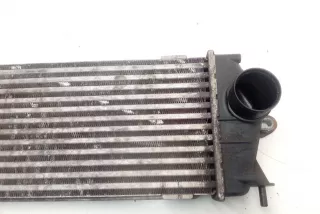 988650B , art13890726 Интеркулер Nissan Primastar Арт 13890726, вид 3
