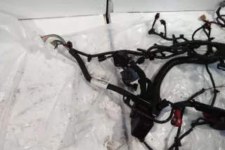 art14070727 Проводка двигателя Nissan Qashqai+2 Арт 14070727, вид 4