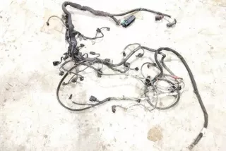 6421509588, A6421509588 , art13503674 Проводка двигателя Mercedes R W251 Арт 13503674, вид 3