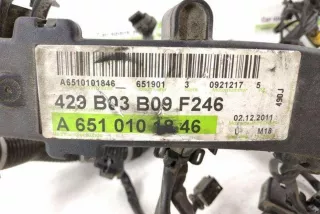 A6510101846, 6510101846 , art13514254 Проводка двигателя Mercedes B W246 Арт 13514254, вид 2