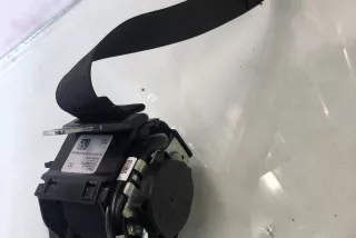 1616501e1c , art13715695 Ремень безопасности задний правый Tesla model Y Арт 13715695, вид 1