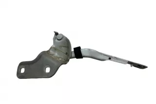719034A, ES72 , art12883820 Петля капота Renault Clio 3 Арт 12883820, вид 2