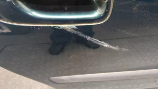 30649494,30784978,8643219,9187669,30674329,31253720 Дверь задняя правая зеленая Volvo XC90 1 restailing Арт 9071340, вид 2