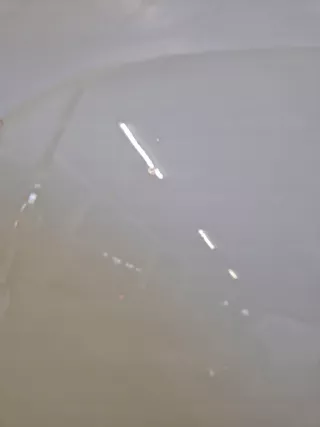  Капот SsangYong Korando Арт AL16318999247, вид 5