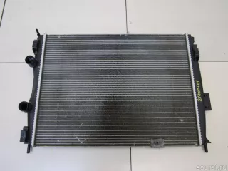 21400JD90B Nissan Радиатор основной Nissan Qashqai 2 restailing Арт E81001761, вид 1