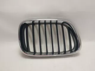 8247676,51138247676 Решетка радиатора BMW X5 E53 Арт AL10896503855, вид 1
