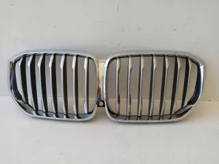 7454887 Решетка радиатора BMW X5 G05  Арт AL11034848495, вид 1