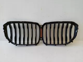 7454887 Решетка радиатора BMW X5 G05  Арт AL11034848495, вид 3