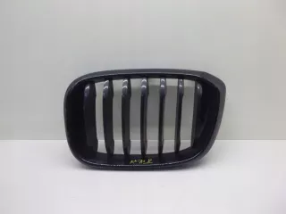 8091725 Решетка радиатора BMW X4 G02 Арт AL11073892136_2, вид 1