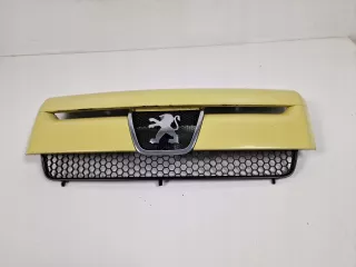  Решетка радиатора Peugeot Expert 1  Арт AL15841924898, вид 1