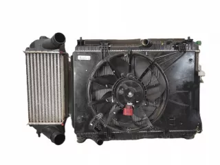  Вентилятор радиатора Ford B-Max Арт AL16430693948, вид 1