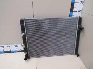 258919J Termal Радиатор основной Infiniti QX50 2 Арт E81009536, вид 1
