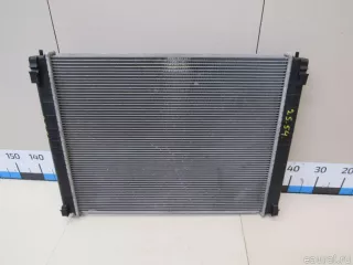 258919J Termal Радиатор основной Infiniti QX50 2 Арт E81009536, вид 6