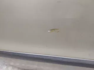  Динамик Volvo XC90 1 restailing Арт 11047666, вид 2