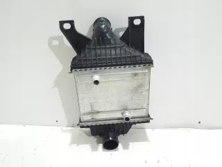 FPLA-6K775-AB Интеркулер Land Rover Discovery 5 Арт AL8579408016_4, вид 1