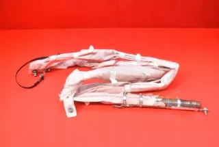 2455135 Подушка безопасности Tesla model S Арт AL16034162417