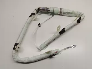 X3G01,KURTYNA,RH-ORG Подушка безопасности BMW X3 G01 Арт AL16465294854, вид 1