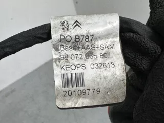 9807206580 Камера BLIS Citroen Spacetourer Арт AL16990682950, вид 2