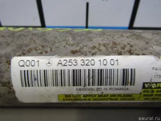 2533201001 Mercedes Benz Амортизатор задний Mercedes S C217 Арт E81018530, вид 2