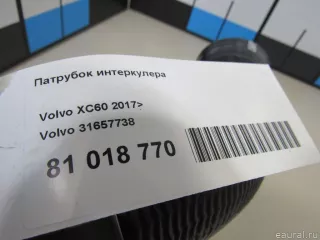 31657738 Volvo Патрубок интеркулера Volvo S80 2 restailing 2 Арт E81018770, вид 6