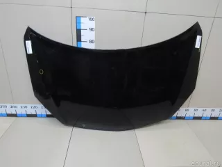 651000024R Renault Капот Renault Koleos Арт E81026953, вид 1