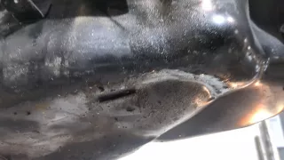 SH0113800D ТНВД Mazda 6 3 Арт 11223918, вид 3