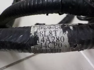 8L8Z14300AA Ford Клемма аккумулятора плюс Ford Escape 1 Арт E84259739, вид 8