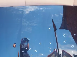  Капот Ford S-Max 2 Арт AL12285612840, вид 13