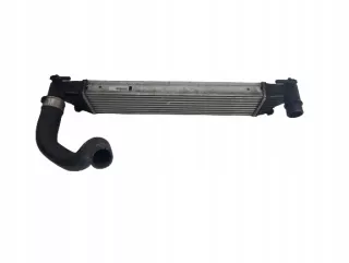 8E0650000,OE Интеркулер Fiat 500 1 Арт AL12539967818, вид 2