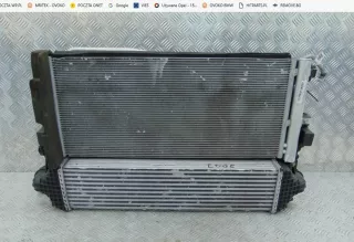 E1G36K775FG,G2G3-8C607-AE,HG9H-19710-AB Радиатор основной Ford Edge 1 Арт AL15622556579, вид 1
