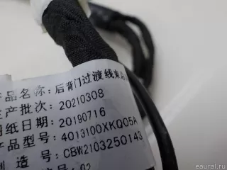 4013100XKQ05A Great Wall Проводка (коса) Haval F7 Арт E84638524, вид 4
