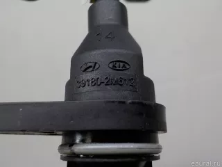 391802M612 Hyundai-Kia Датчик положения коленвала Kia K5 3 Арт E84744805, вид 5