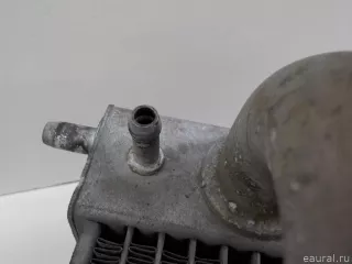 21400BC00A Nissan Радиатор основной Nissan Micra K14 Арт E84770315, вид 14
