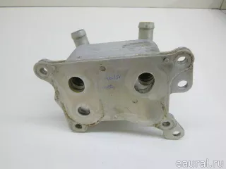 213055917R Renault Радиатор масляный Renault Arkana Арт E84775684, вид 4
