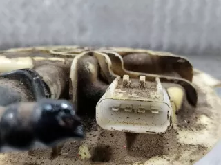 68081087AB,,A2C53418117 Насос топливный Chrysler 200 Арт AL15599501354, вид 3