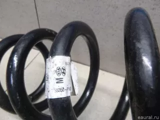 55350F1CF0 Hyundai-Kia Пружина задняя Kia Sportage 4 Арт E100015293, вид 3