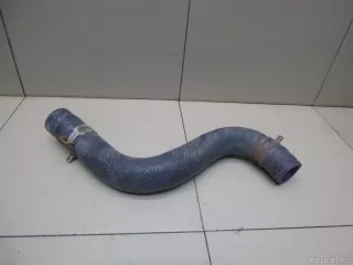 254122P200 Hyundai-Kia Шланг системы охлаждения Kia Sorento 3 restailing Арт E100350956, вид 2