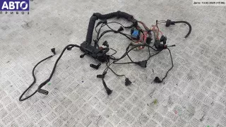  Проводка двигателя BMW 3 E46 Арт 54929590, вид 2