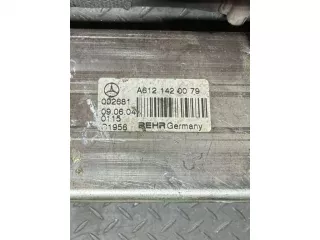 A6121420079 Радиатор EGR Mercedes ML W163 Арт 55004, вид 3