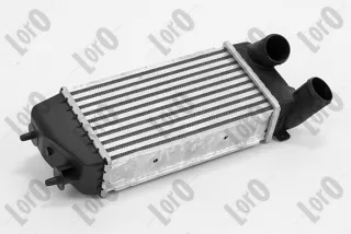009-018-0008 Интеркулер Citroen C3 Pluriel Арт AL12993073220, вид 1