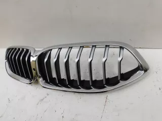 8080611,Grill Решетка радиатора BMW Z8 Арт AL15389434024, вид 2