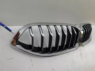 8080611,Grill Решетка радиатора BMW Z8 Арт AL15389434024, вид 3